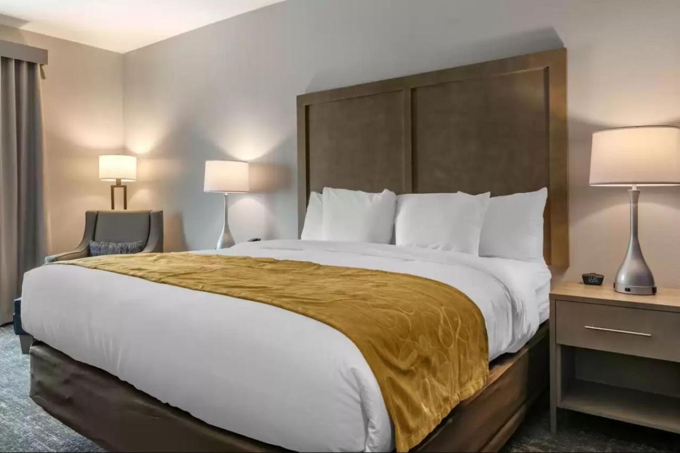 Comfort Inn & Suites Jacksonville - Orange Park Near Naval Air Station Buitenkant foto
